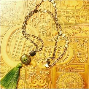 Natural stone and tassel necklace NWT